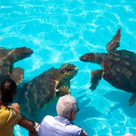 Pousada Barra Linda Florianópolis Zewnętrze zdjęcie