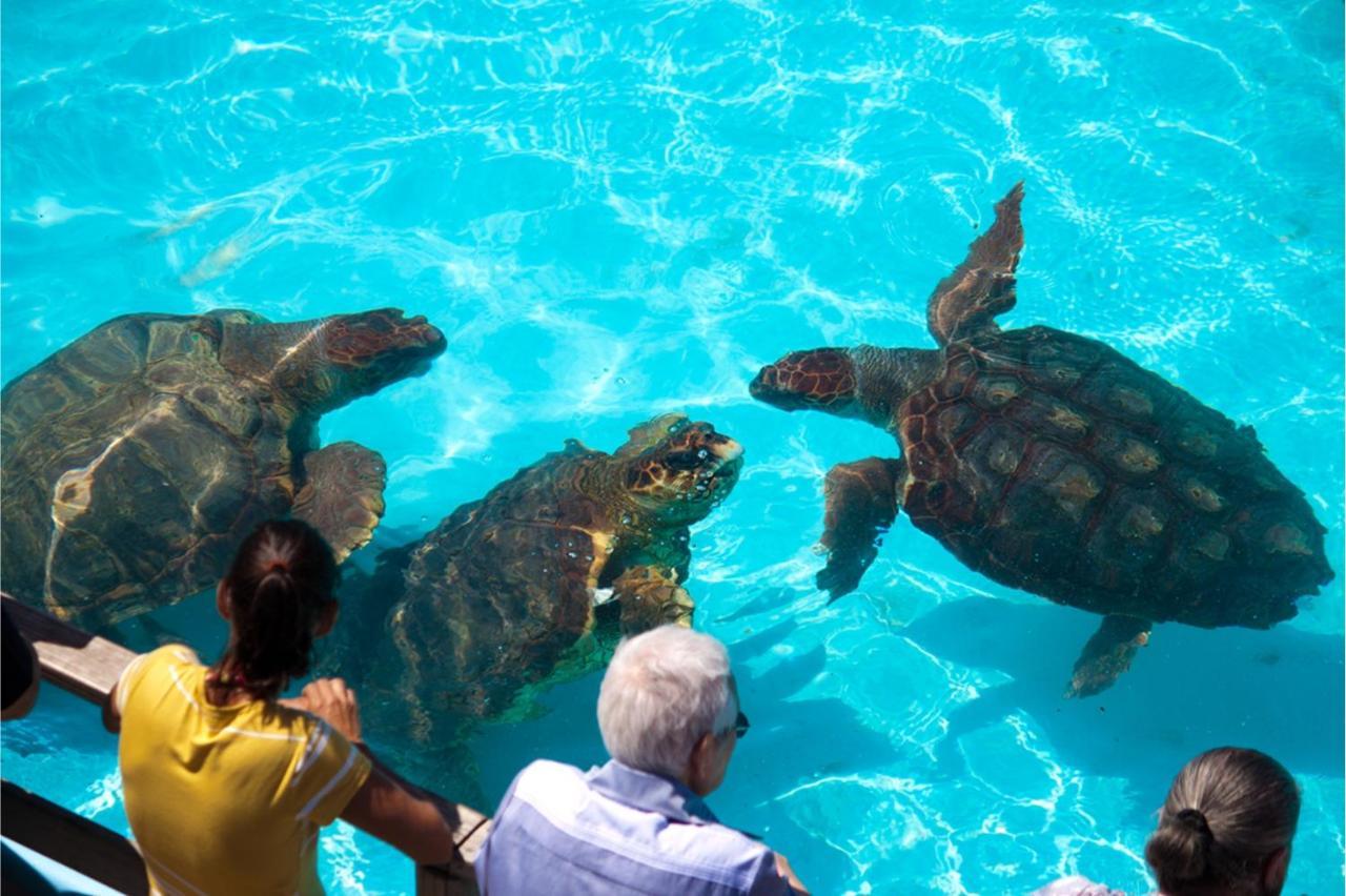 Pousada Barra Linda Florianópolis Zewnętrze zdjęcie